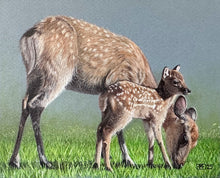 Load image into Gallery viewer, grazing family
