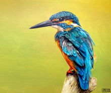 Load image into Gallery viewer, azure kingfisher
